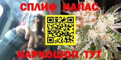герыч Кингисепп