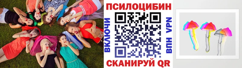 Галлюциногенные грибы Cubensis  Луга 