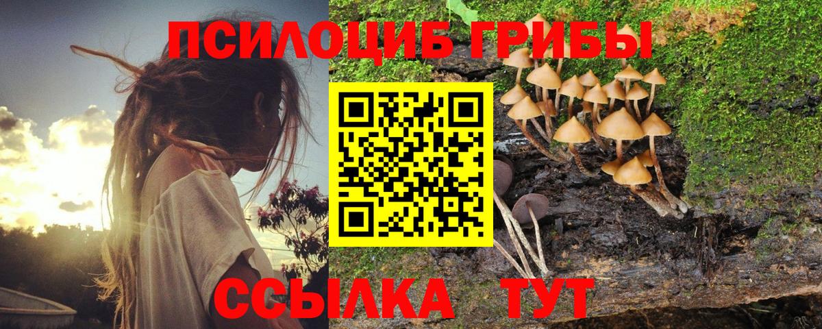Псилоцибиновые грибы мухоморы  Вход с VPN  Луга 