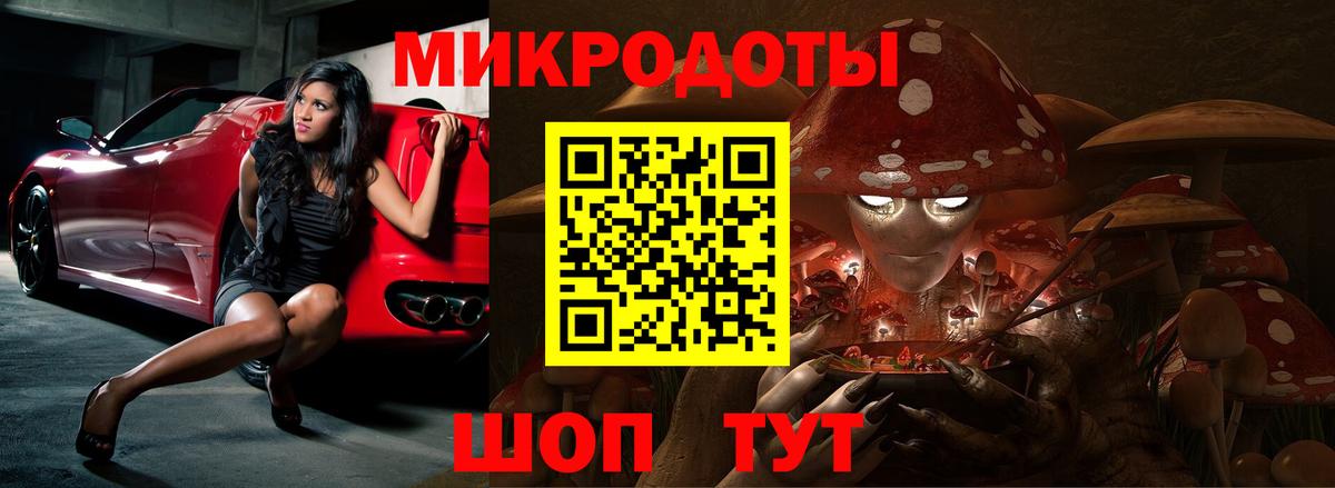 Галлюциногенные грибы прущие грибы Луга