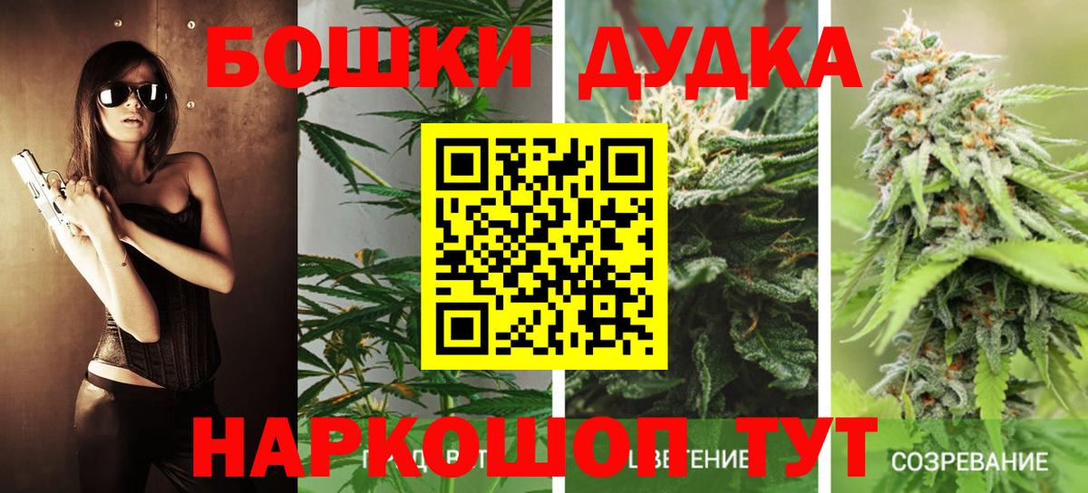 Канабис гибрид  Каннабис OG Kush  Вход с VPN  Луга  Шишки марихуана план 